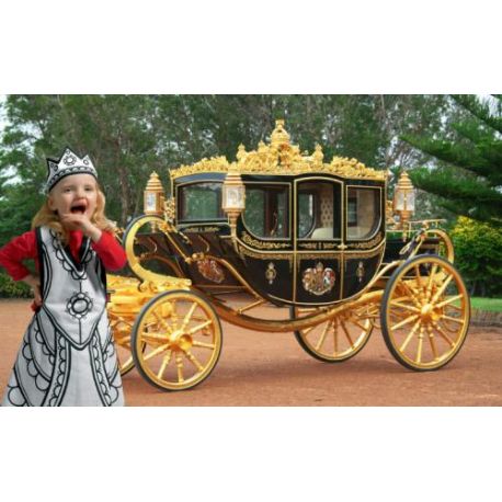 Déguisement Princesse