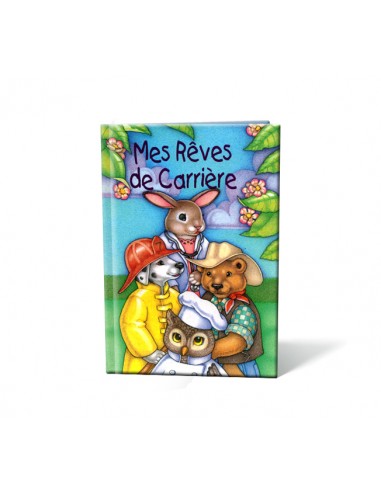 Mes rêves de carrière